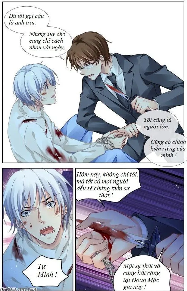 Linh Khế Chapter 296 - Trang 6