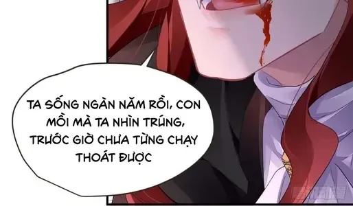 Linh Khế Chapter 575 - Trang 11