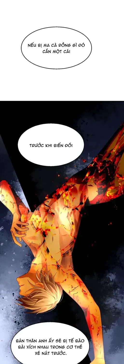 Linh Khế Chapter 578 - Trang 28