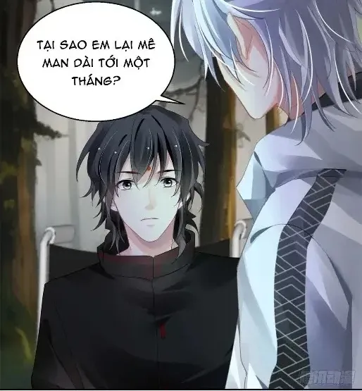 Linh Khế Chapter 587 - Trang 4