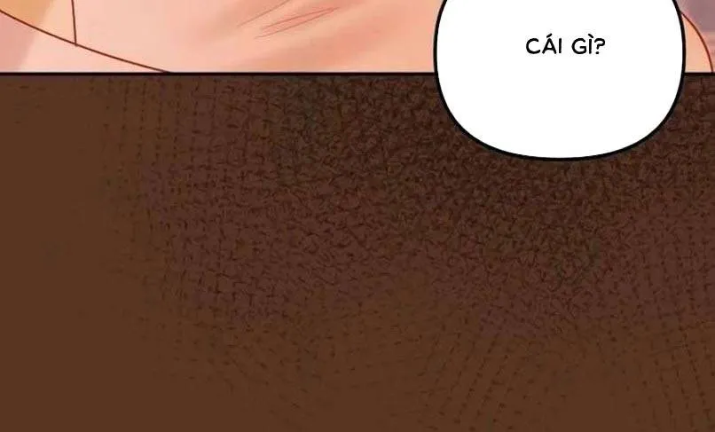 Lỡ Mang Thai Với Sếp Chapter 26.1 - Trang 11