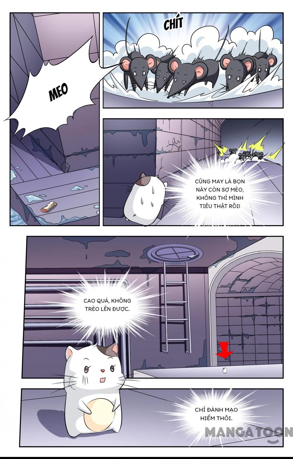 Lời Nguyền Biến Hình Chapter 113 - Trang 6
