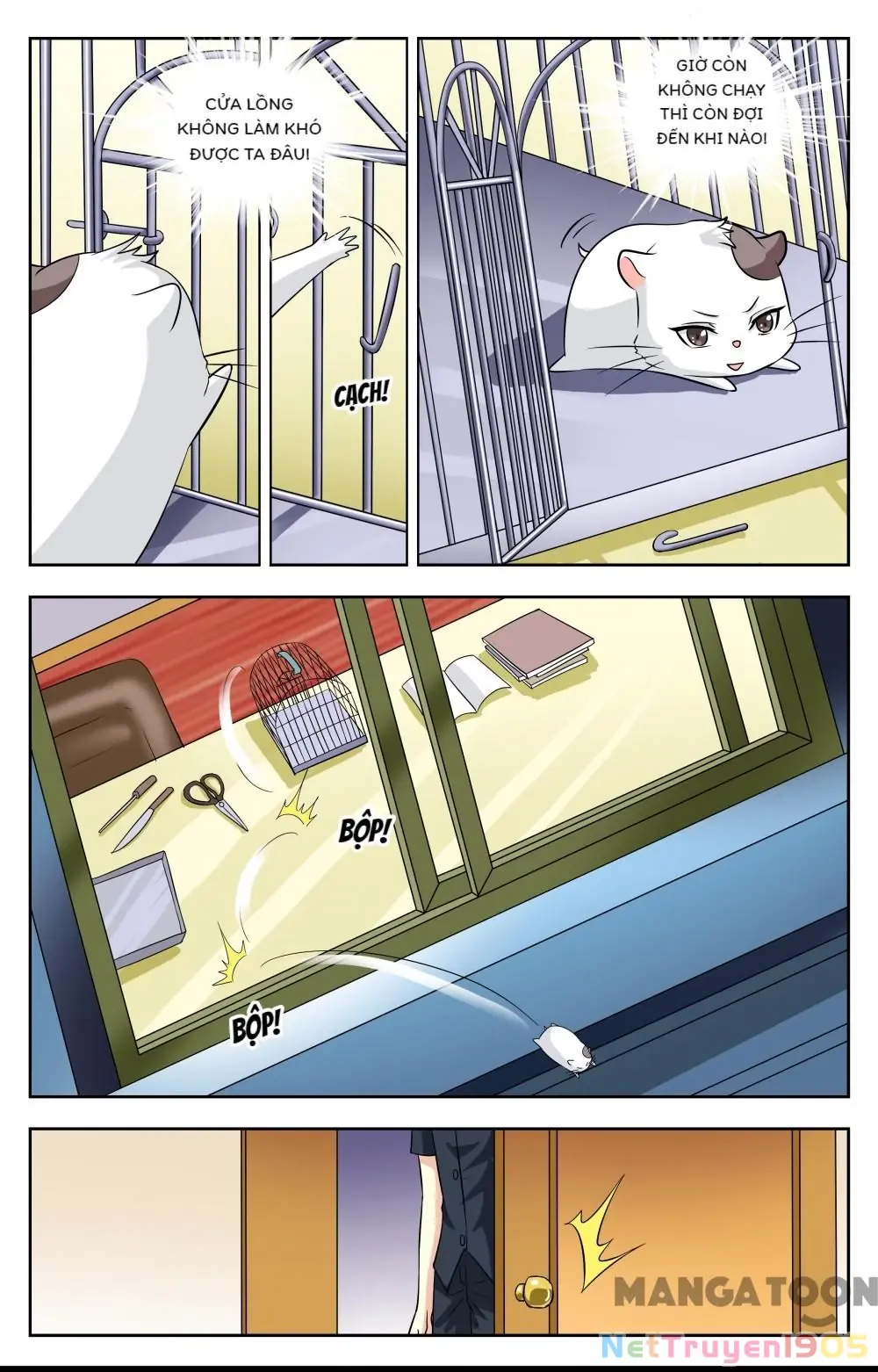Lời Nguyền Biến Hình Chapter 114 - Trang 7
