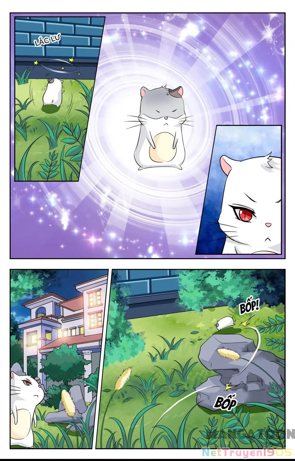 Lời Nguyền Biến Hình Chapter 115 - Trang 7