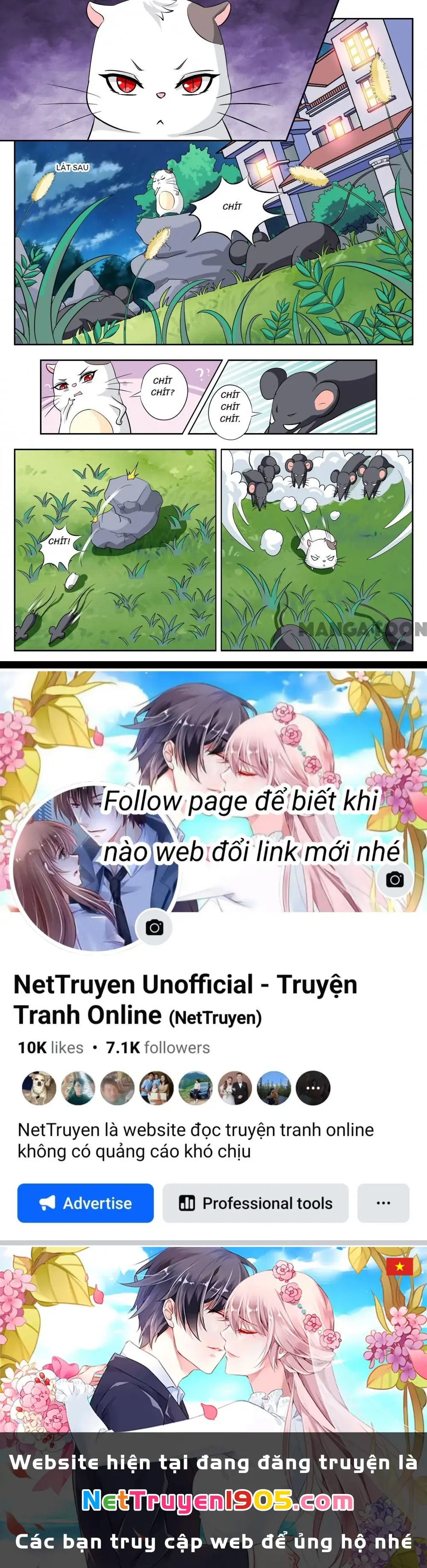 Lời Nguyền Biến Hình Chapter 115 - Trang 9