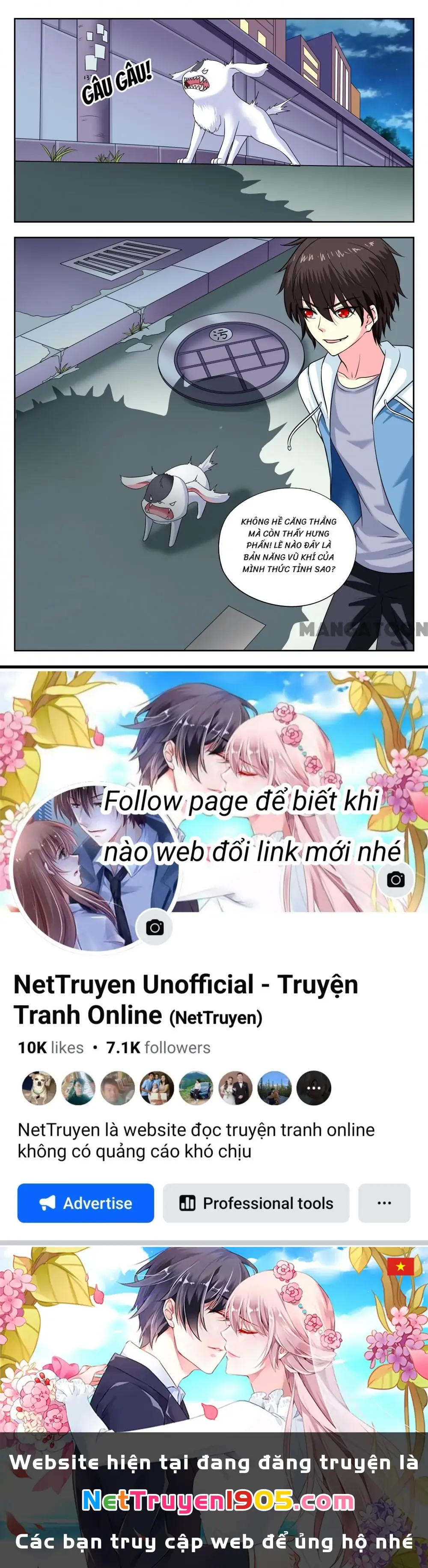 Lời Nguyền Biến Hình Chapter 152 - Trang 9