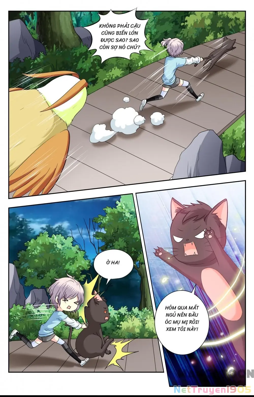 Lời Nguyền Biến Hình Chapter 223 - Trang 8