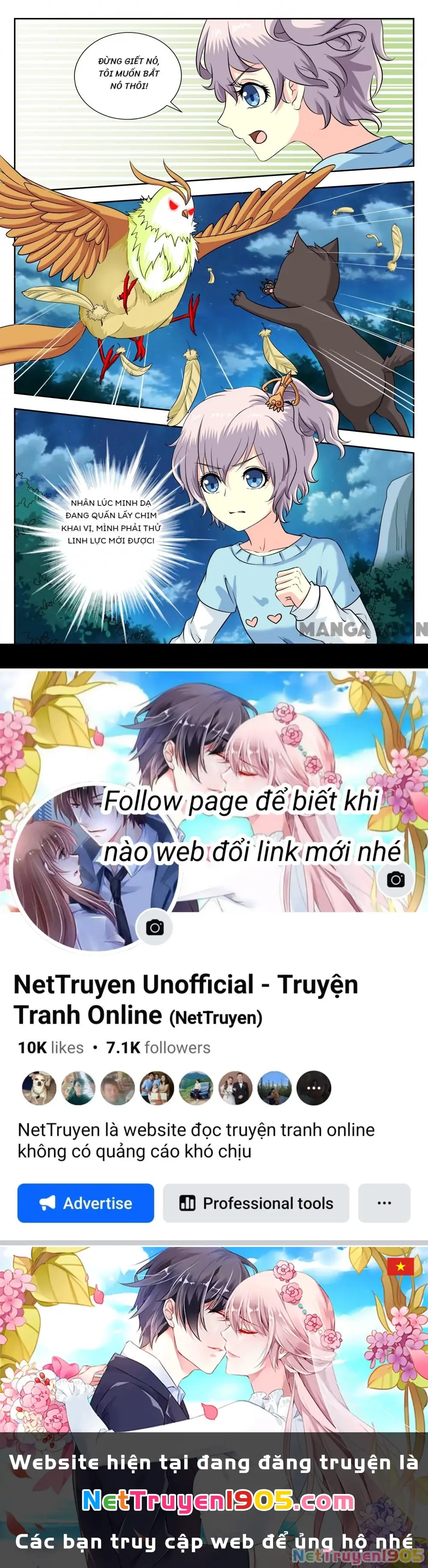 Lời Nguyền Biến Hình Chapter 223 - Trang 9