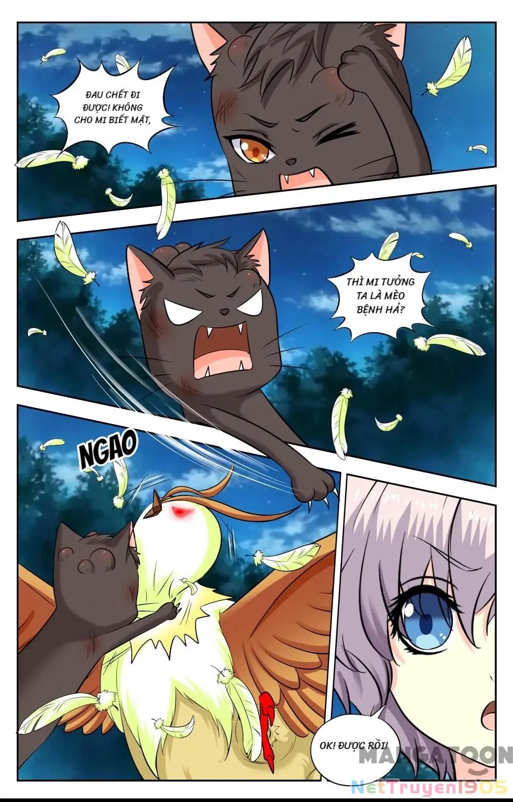 Lời Nguyền Biến Hình Chapter 224 - Trang 3