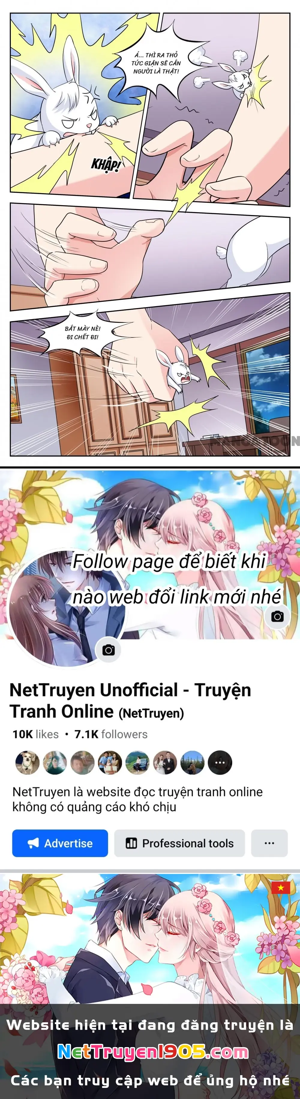 Lời Nguyền Biến Hình Chapter 249 - Trang 9