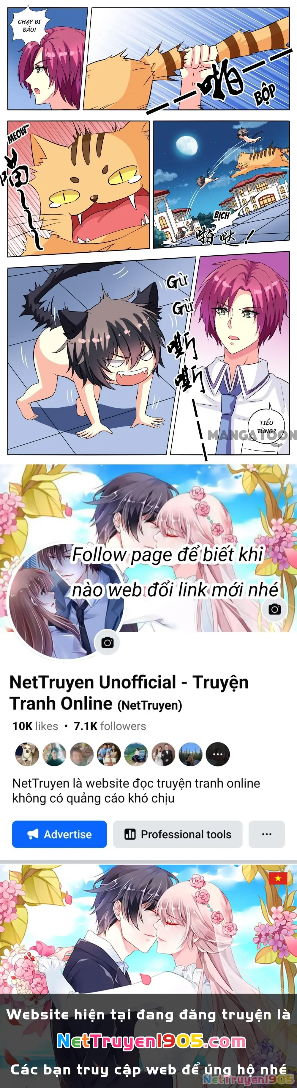 Lời Nguyền Biến Hình Chapter 54 - Trang 6