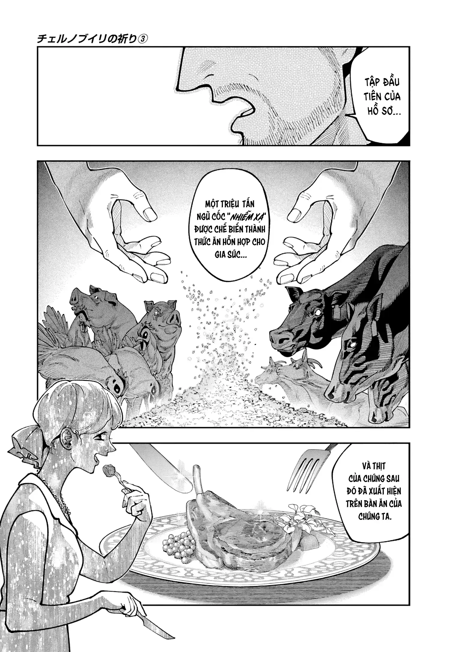 Lời nguyện cầu từ Chernobyl Chapter 17 - Trang 11