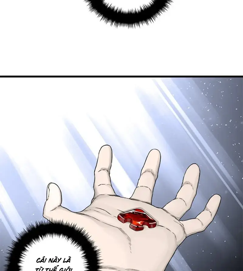 Lời Triệu Hồi Bí Ẩn Chapter 48 - Trang 25