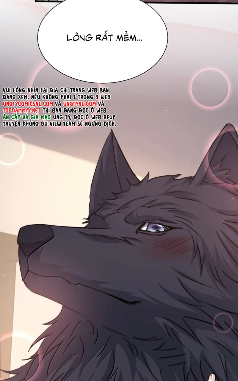 Lồng Tuyết Chapter 65 - Trang 28