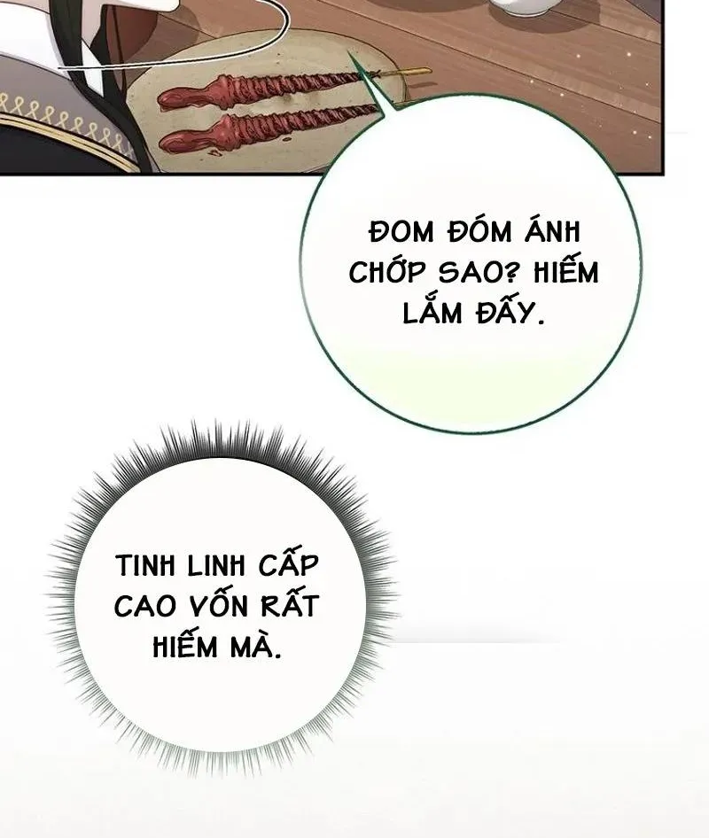 Lừa Dối Hôn Nhân Của Hoàng Đế Chapter 12 - Trang 42