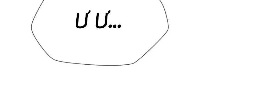 Luật Sư Sát Thủ Chapter 22 - Trang 33