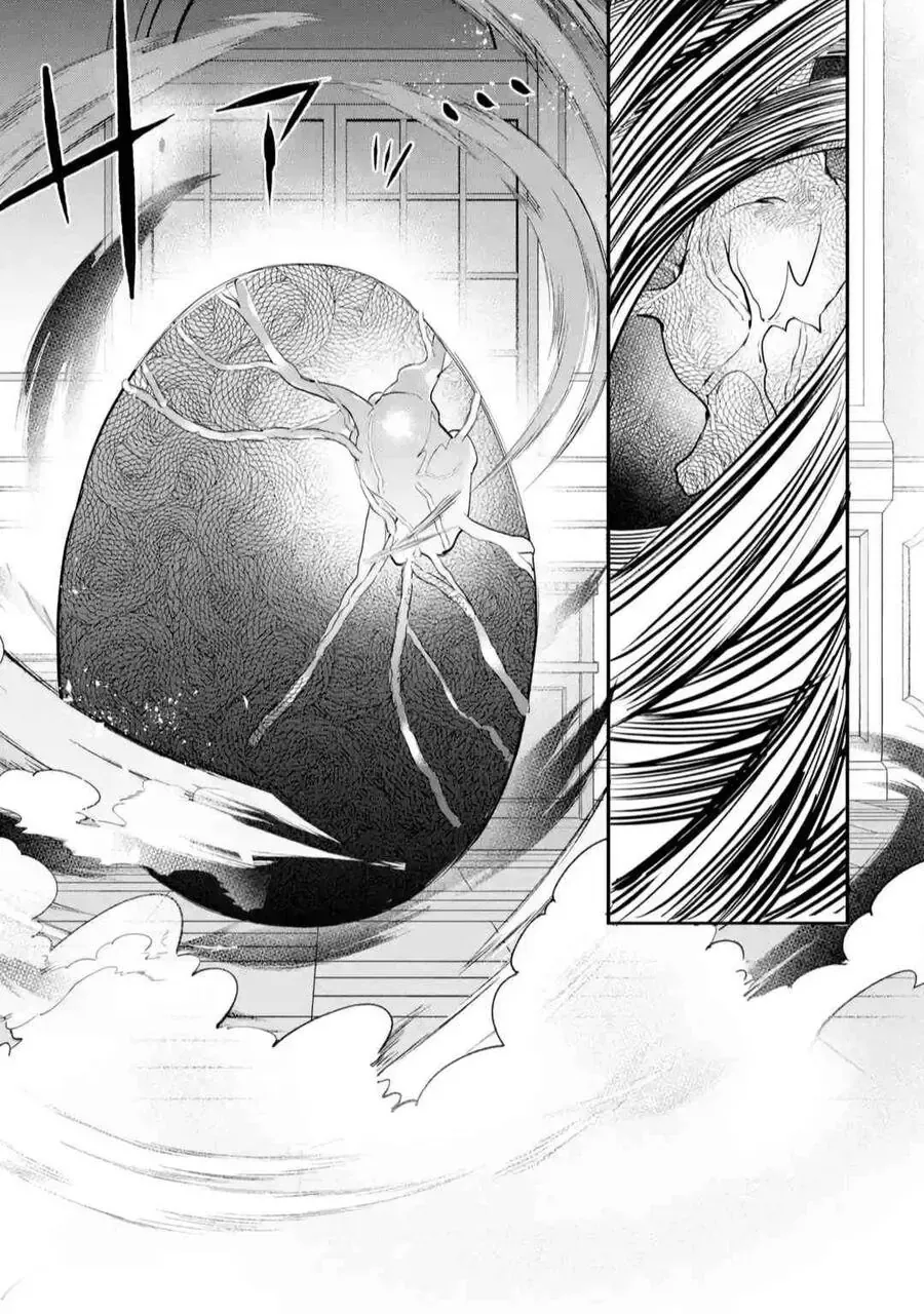Luyện Thú Sư Bị Trục Xuất, Gặp Gỡ Linh Miêu Tộc Chapter 61 - Trang 18