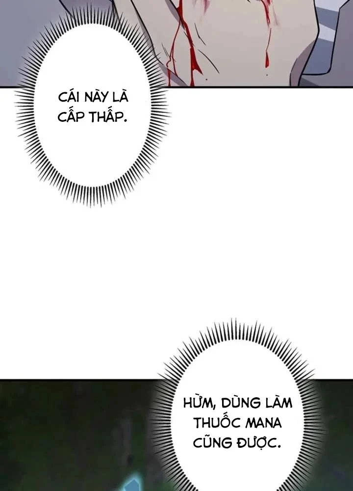 Ma Kiếm Sĩ Hồi Sinh Và Huyết Thống Tối Thượng Chapter 11 - Trang 22