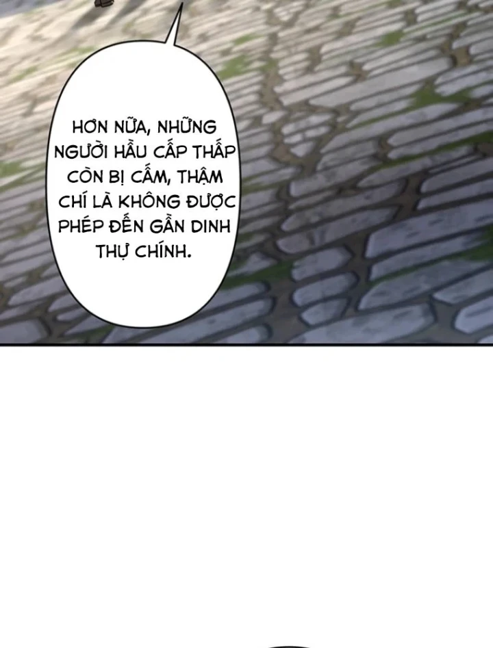 Ma Kiếm Sĩ Hồi Sinh Và Huyết Thống Tối Thượng Chapter 7 - Trang 15