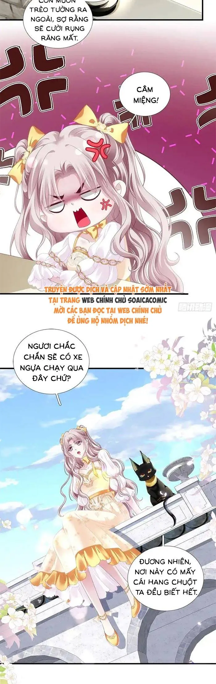 Ma Nữ Trở Lại Và Cuộc Hôn Nhân Định Mệnh Chapter 17 - Trang 19