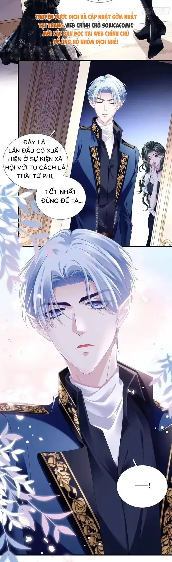 Ma Nữ Trở Lại Và Cuộc Hôn Nhân Định Mệnh Chapter 24 - Trang 8