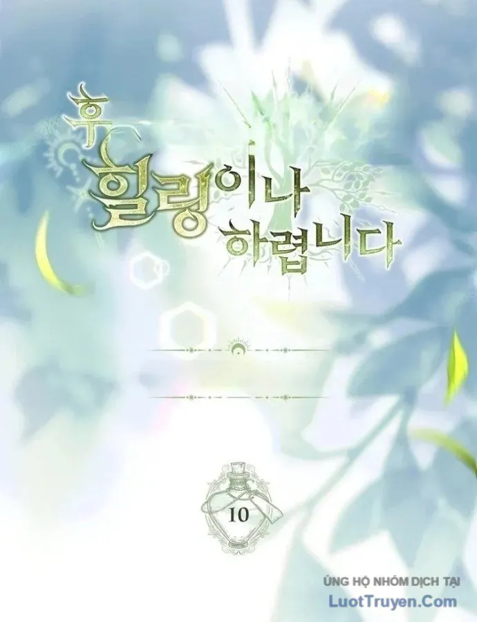 Mặc Kệ Gia Tộc, Ta Chỉ Muốn Làm Thầy Thuốc Chữa Lành Chapter 10 - Trang 20