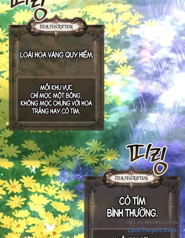 Mặc Kệ Gia Tộc, Ta Chỉ Muốn Làm Thầy Thuốc Chữa Lành Chapter 21 - Trang 24