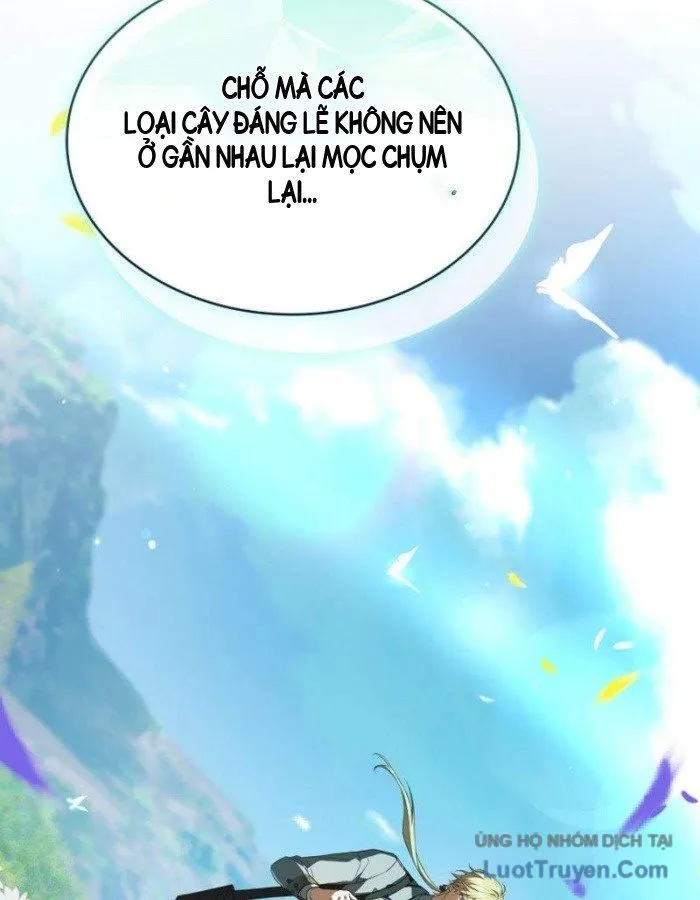 Mặc Kệ Gia Tộc, Ta Chỉ Muốn Làm Thầy Thuốc Chữa Lành Chapter 21 - Trang 35