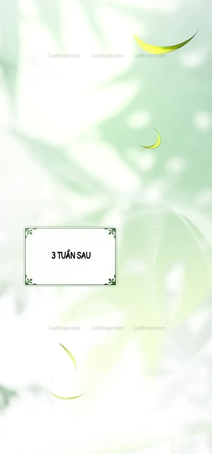 Mặc Kệ Gia Tộc, Ta Chỉ Muốn Làm Thầy Thuốc Chữa Lành Chapter 25 - Trang 42