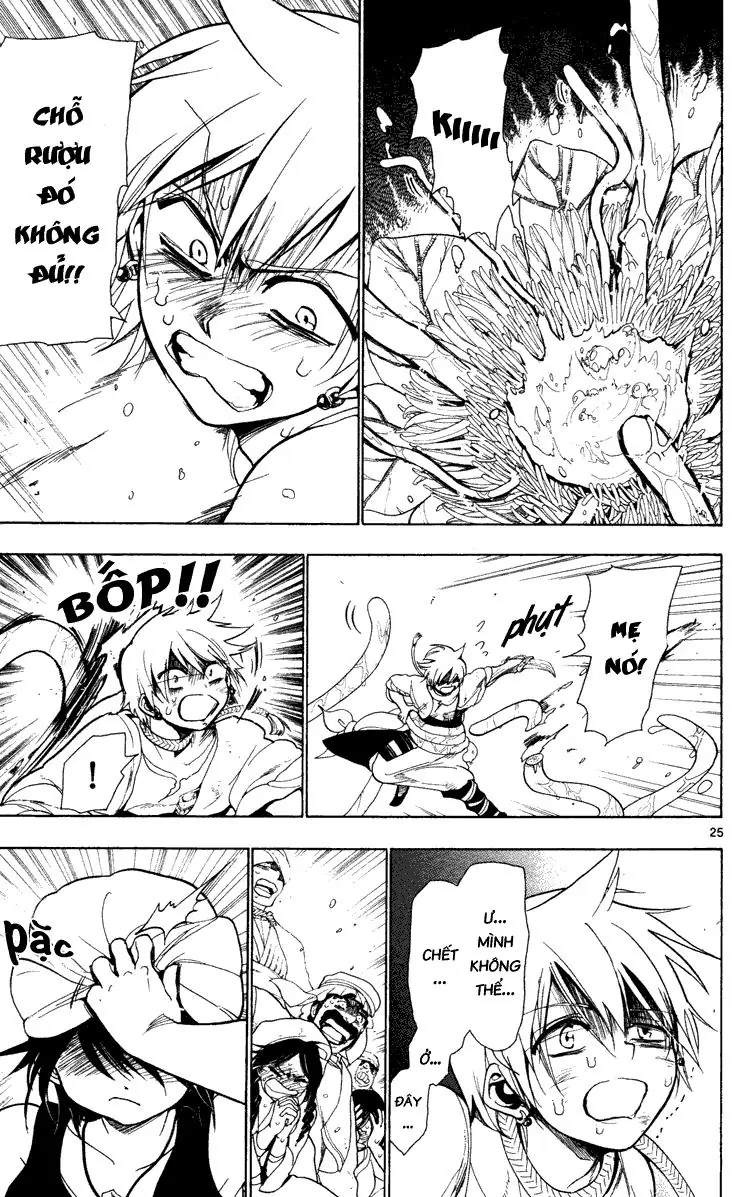 Magi: Bậc Thầy Pháp Thuật Chapter 2 - Trang 25