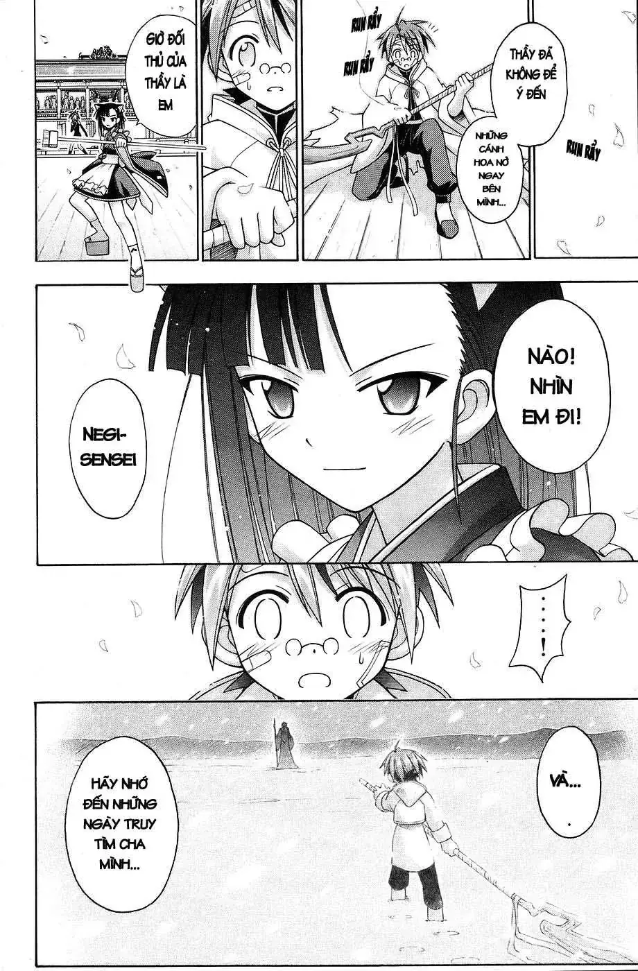 mahou sensei negima! Chapter 114 - Trang 15