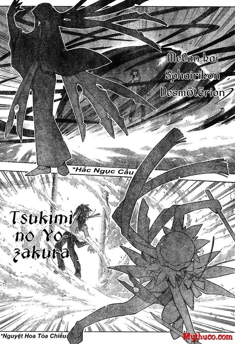 Mahou Sensei Negima Chapter 187 - Trang 13