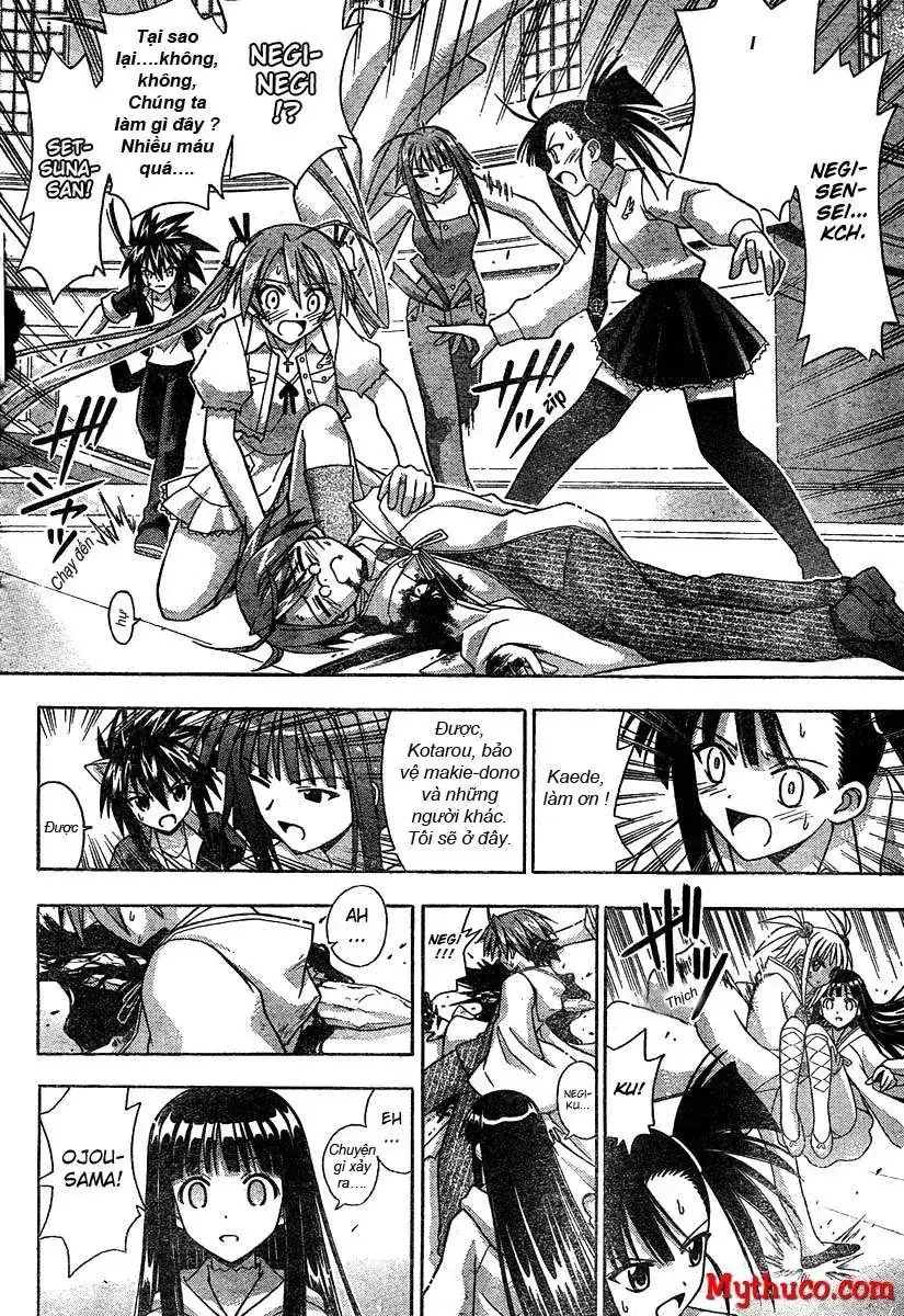 Mahou Sensei Negima Chapter 187 - Trang 5