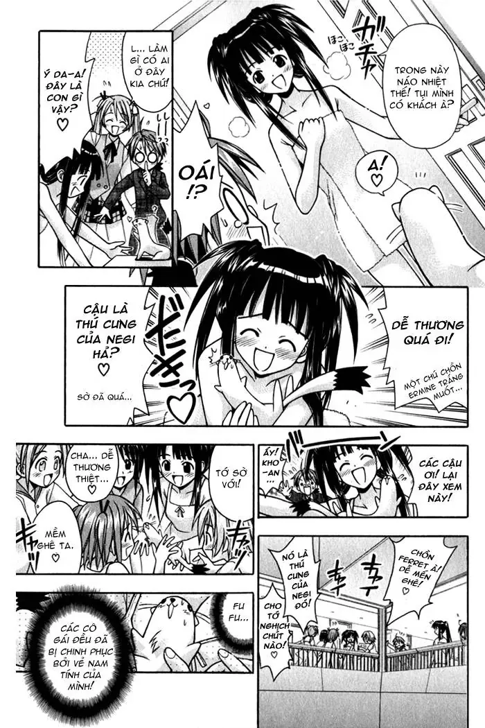 mahou sensei negima! Chapter 19 - Trang 8