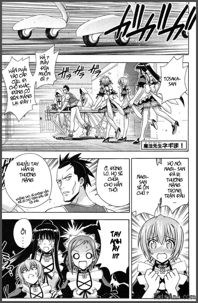 mahou sensei negima! Chapter 199 - Trang 3