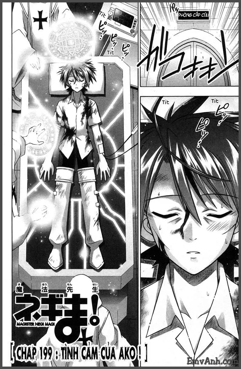 mahou sensei negima! Chapter 199 - Trang 4