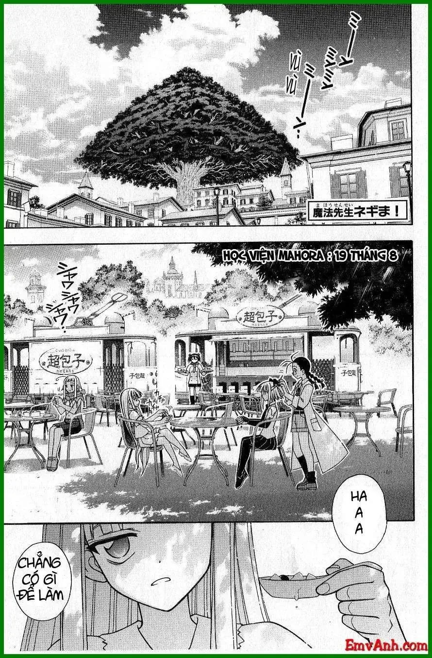 mahou sensei negima! Chapter 210 - Trang 4