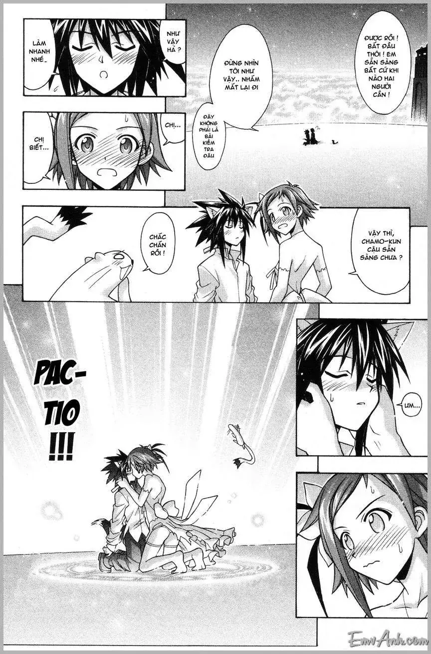 mahou sensei negima! Chapter 262 - Trang 21