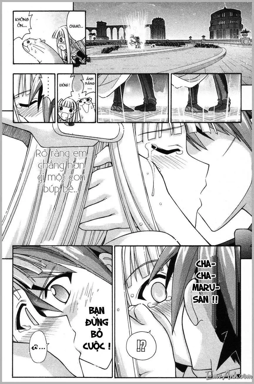 Mahou Sensei Negima Chapter 263 - Trang 19