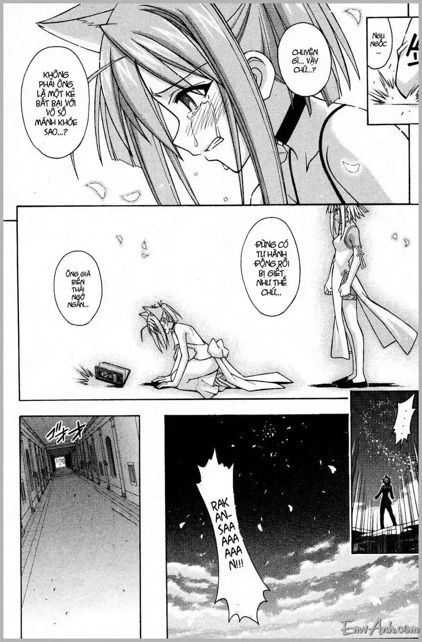 mahou sensei negima! Chapter 279 - Trang 14