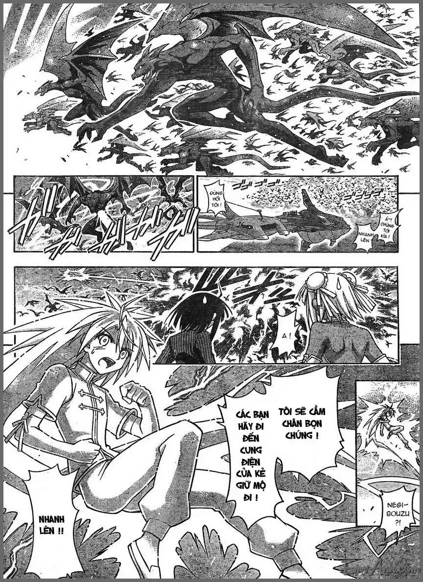 Mahou Sensei Negima Chapter 293 - Trang 15