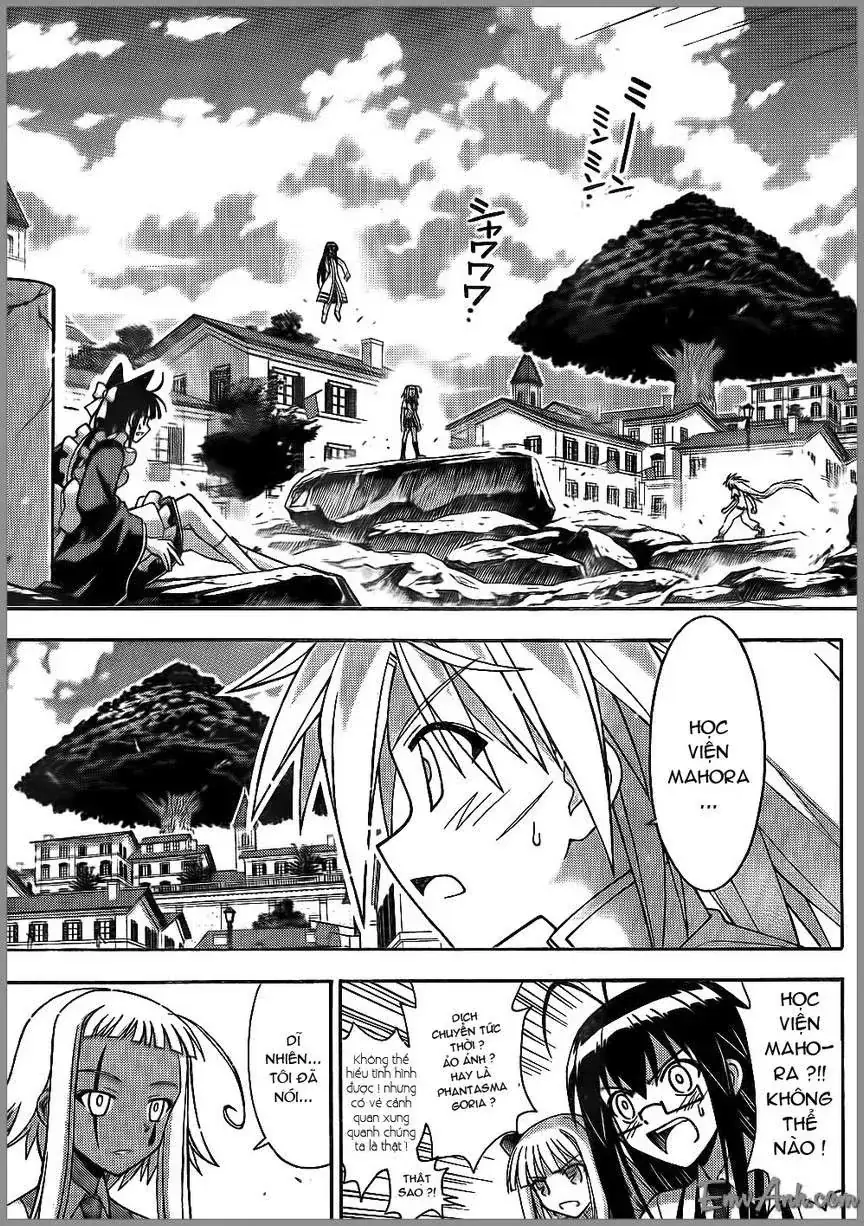 mahou sensei negima! Chapter 295 - Trang 14