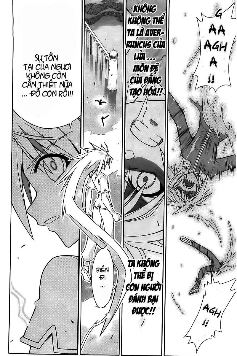 Mahou Sensei Negima Chapter 315 - Trang 18