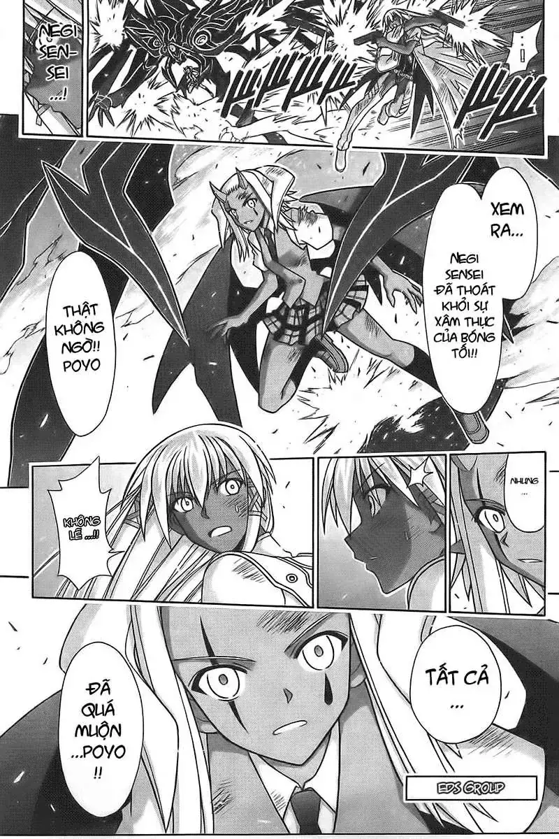 Mahou Sensei Negima Chapter 317 - Trang 5