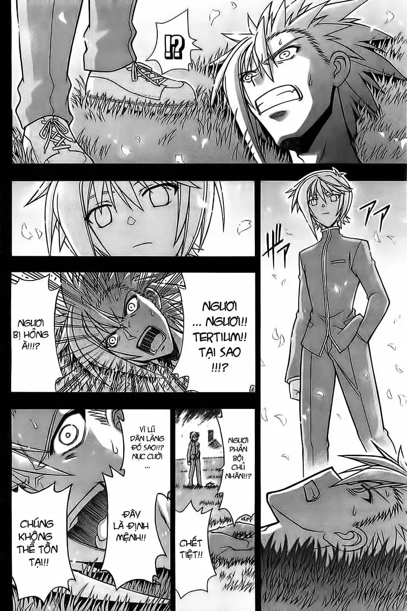mahou sensei negima! Chapter 327 - Trang 16