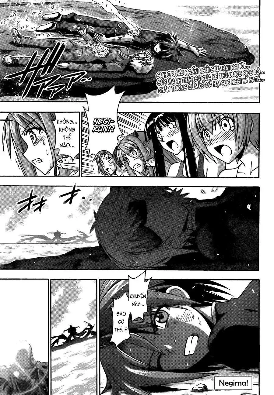 Mahou Sensei Negima Chapter 330 - Trang 3