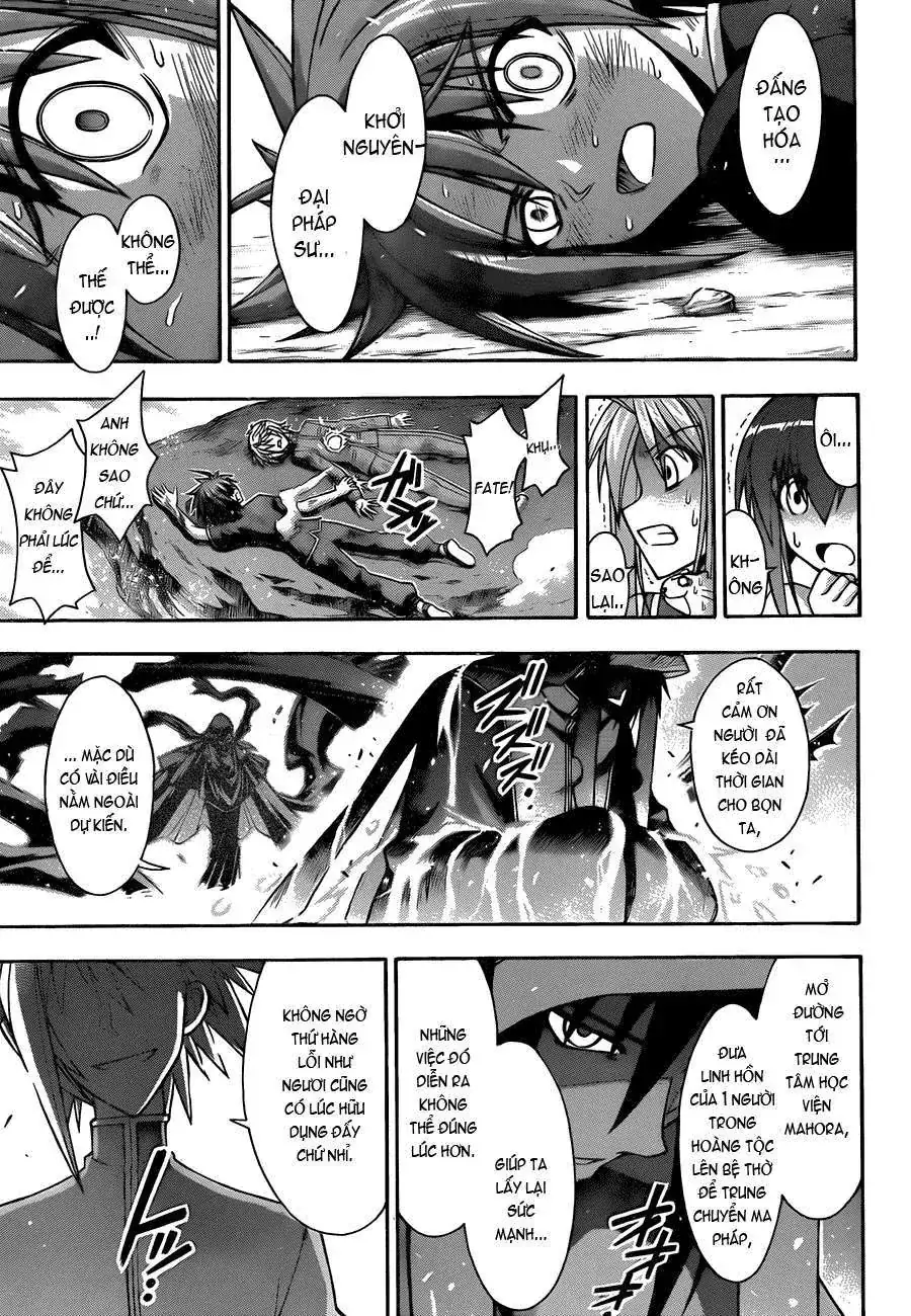 Mahou Sensei Negima Chapter 330 - Trang 5