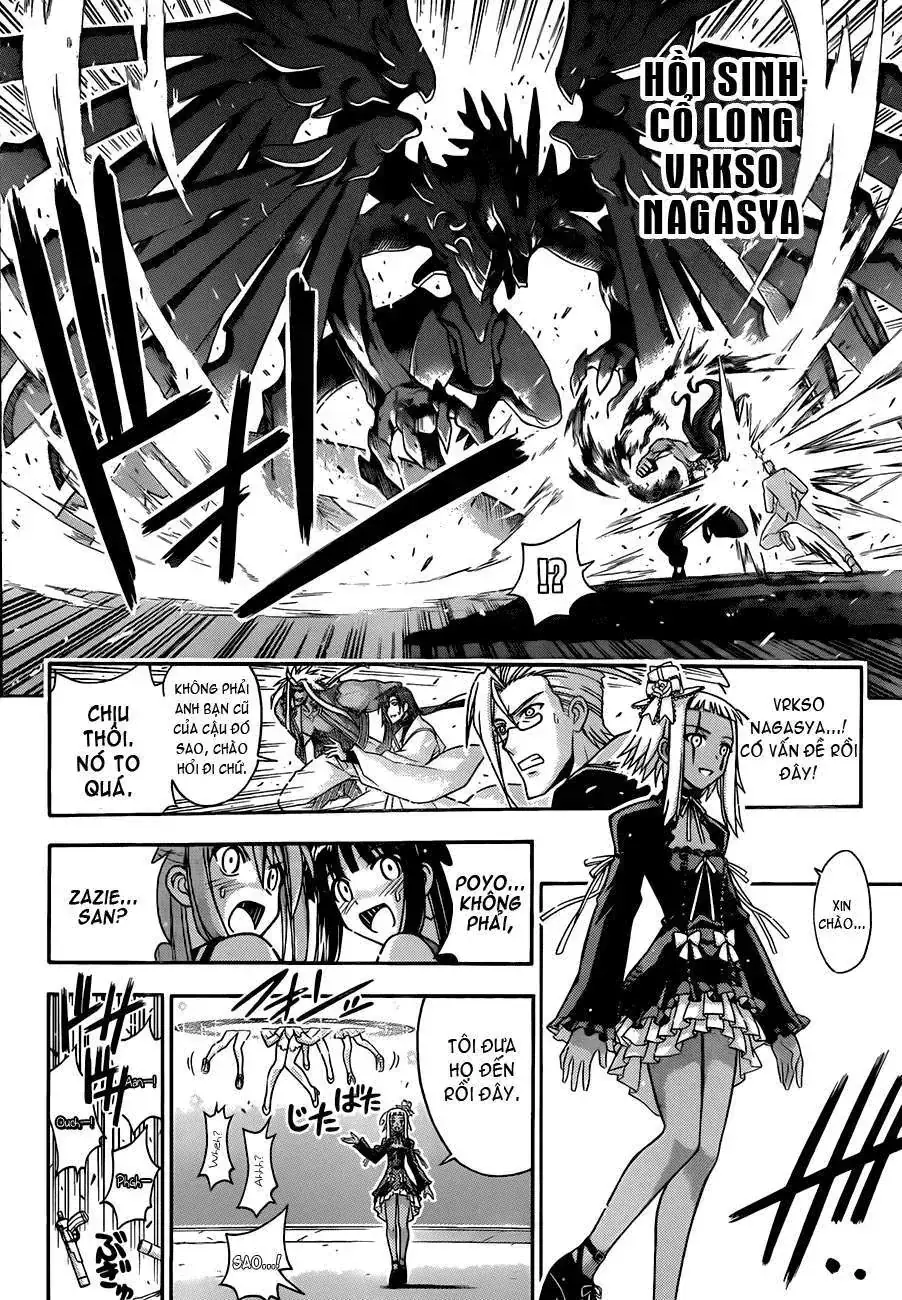 Mahou Sensei Negima Chapter 332 - Trang 14