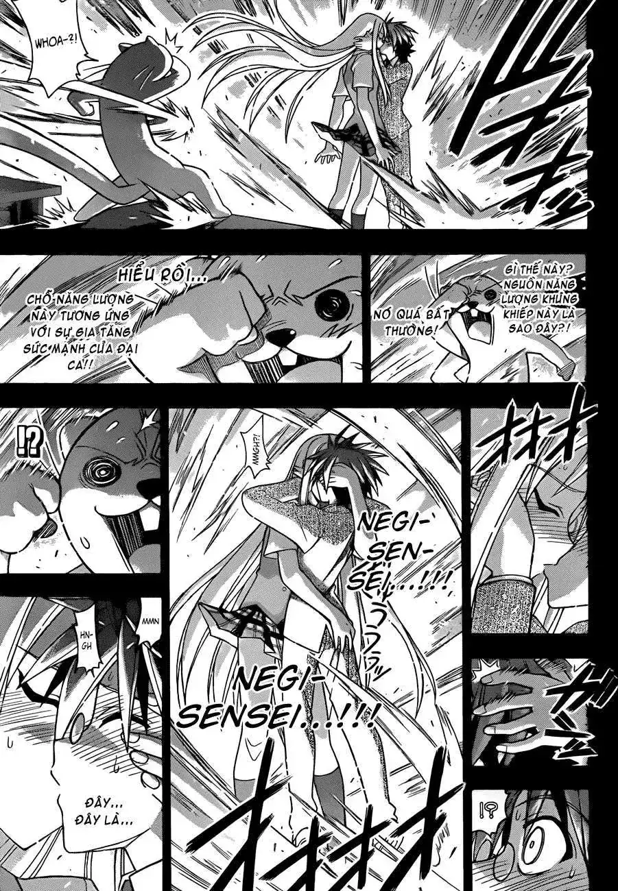 mahou sensei negima! Chapter 340 - Trang 15