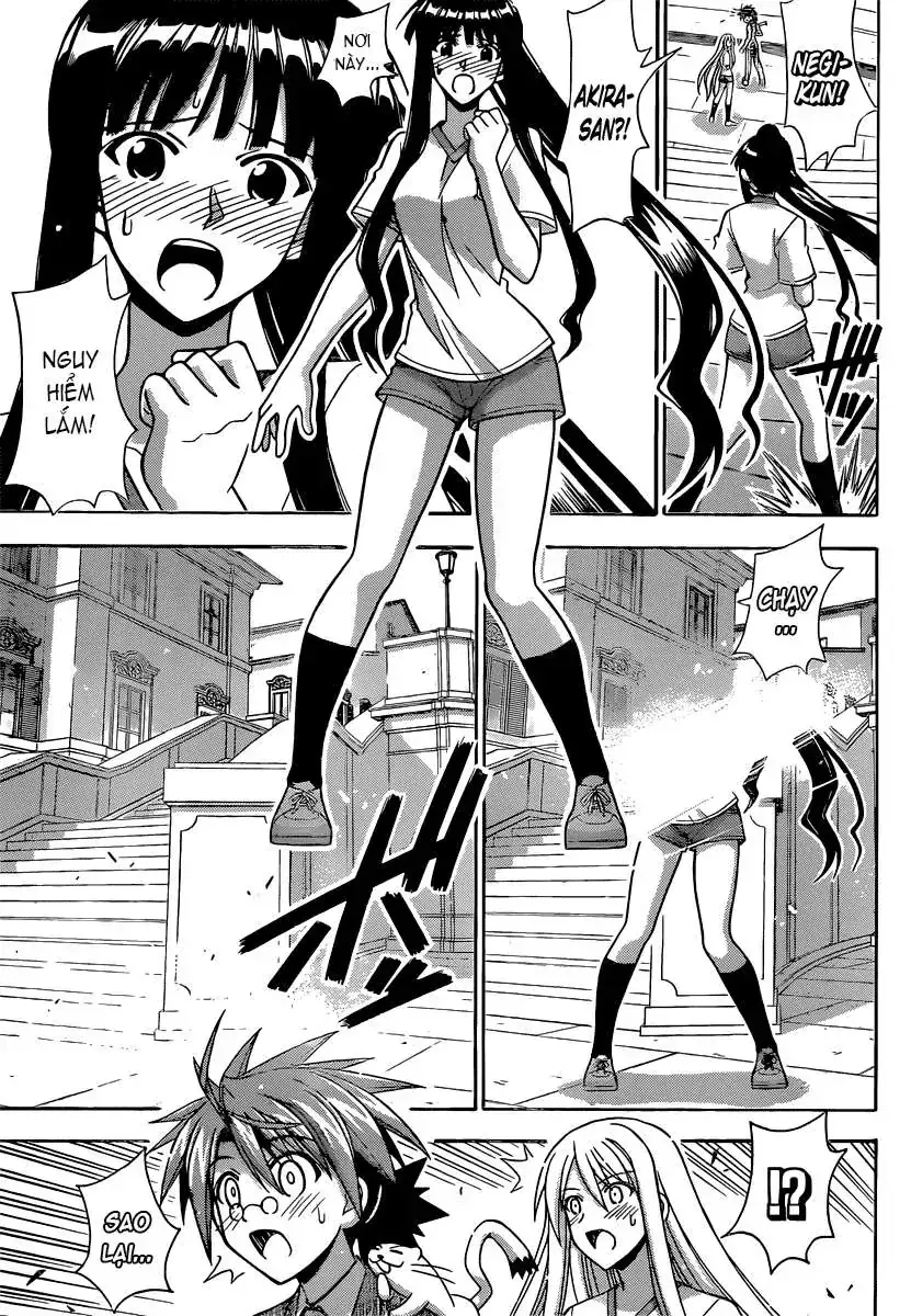Mahou Sensei Negima Chapter 345 - Trang 11